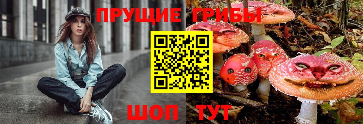 Галлюциногенные грибы прущие грибы Касимов