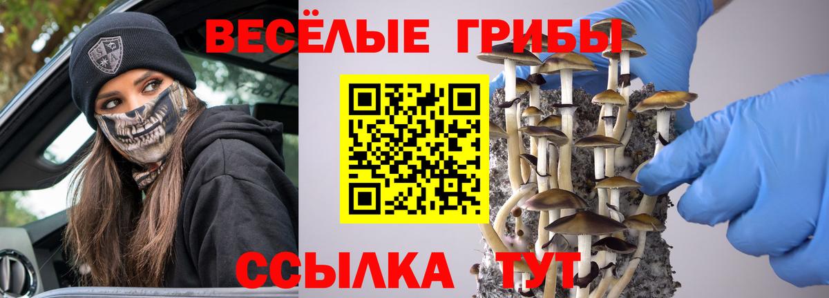 Галлюциногенные грибы мицелий  Вход с VPN  Касимов 